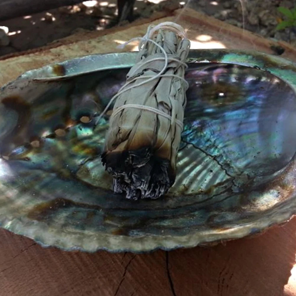 Bâtons de Palo Santo Naturel - Encens Sacré pour Méditation et Purification